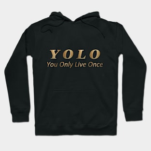 YOLO : You Only Live Once Hoodie
